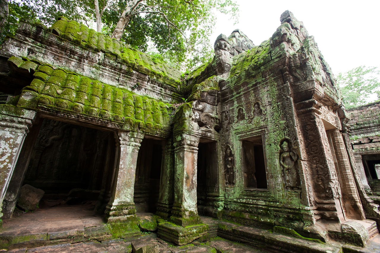 캄보디아 씨엠립에선 1천 년 전 축조된 웅장한 사원들을 만날 수 있다.