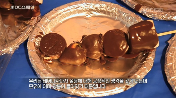  지난 10일 방송된 < MBC 스페셜 > '당신, 독을 먹고 있나요?'편 중 한 장면