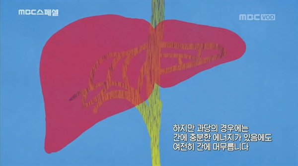  지난 10일 방송된 < MBC 스페셜 > '당신, 독을 먹고 있나요?'편 중 한 장면