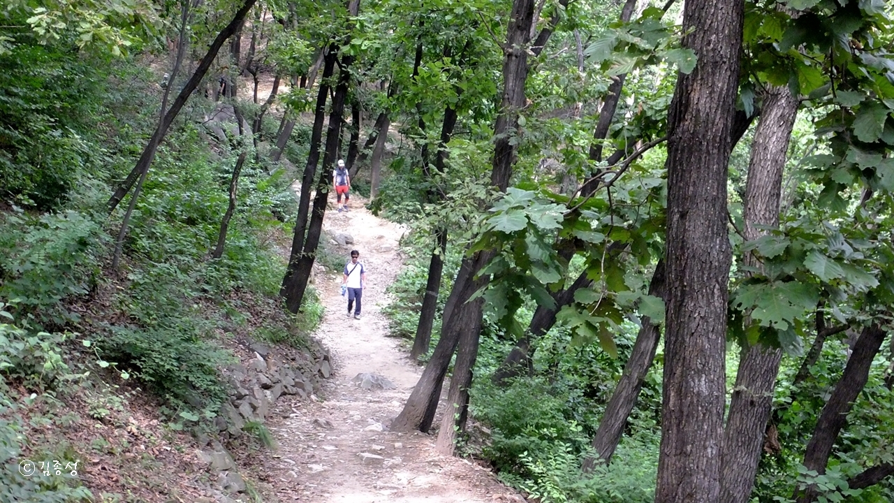 숲길이 이어진 이웃 성주산, 거마산까지 3개의 산을 종주할 수 있다. 