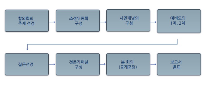 회의스웨그 덴마크 시민 합의회의 과정