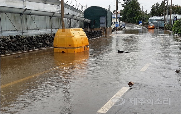 13일 폭우로 물바다가 된 서귀포시 남원읍 마을 안길 모습. <제주의소리 독자제공>