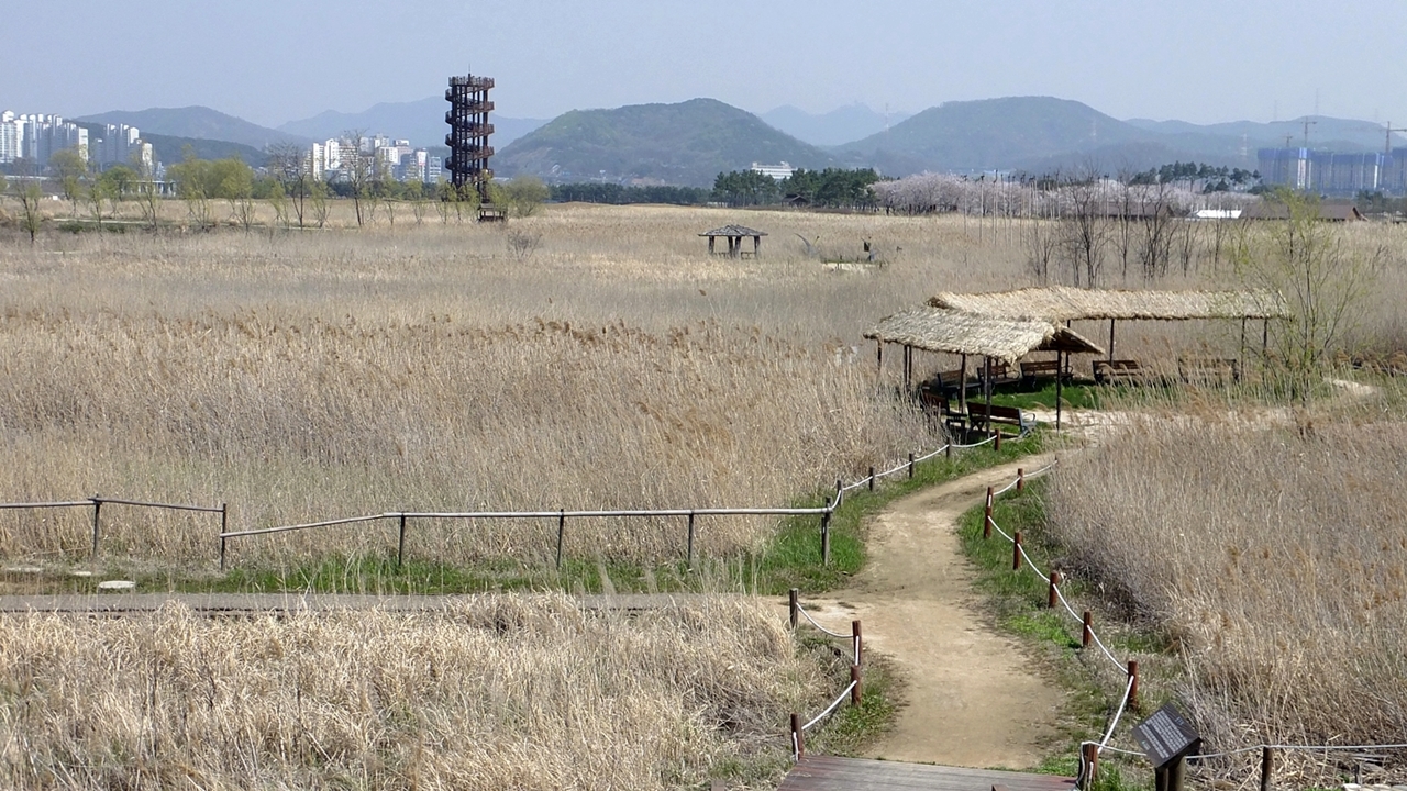  원시적 아름다움을 간직한 넓고 이채로운 공원. 