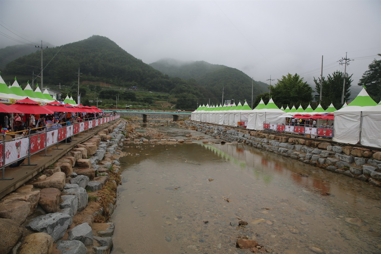 금천 축제장