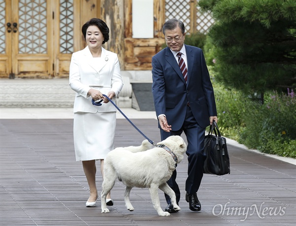 [오마이포토] 문재인 대통령 부부 환송하는 '마루' 