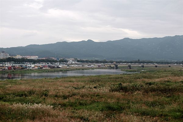 경주 서천둔치 억새밭 전경