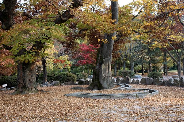 경애왕이 후백제 견훤에게 비참한 죽음을 당한 포석정 모습(11월 죽음을 당하여 2013.11월의 포석정 가을 모습을 올림)