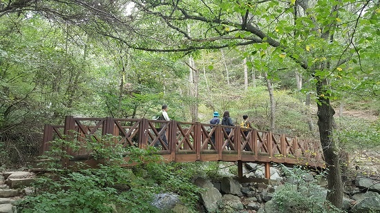 무학산 오른 등산로에 놓인 나무로 만든 아름다운 다리