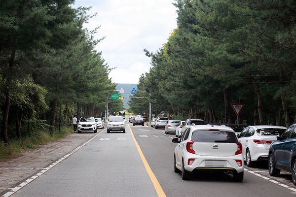  경주 통일전 가는 길목에 있는 산림환경연구원 도로 모습