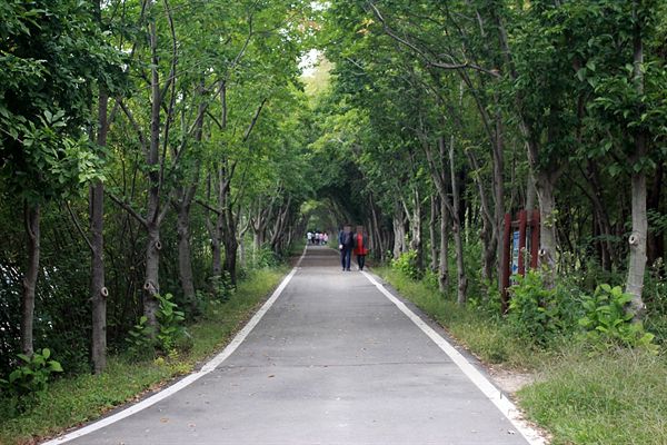 경주 산림환경연구원 내부 숲길 모습