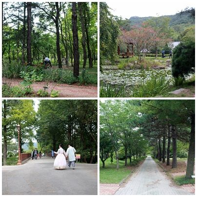 경주 산림환경연구원 내부 숲길 모습