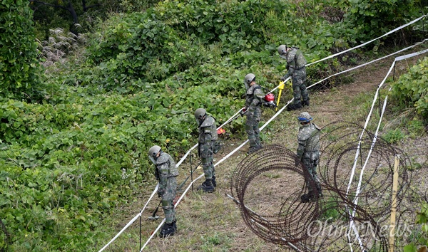 남북공동 DMZ 지뢰제거 작업 시작 9.19평양공동선언 군사분야 합의 첫 조치로 남북공동 비무장지대(DMZ)내 지뢰제거 작업이 2일 경기도 철원 5사단 지역 화살머리고지 최전방감시초소(GP) 인근에서 실시되고 있다. 화살머리고지는 한국전쟁 당시 격전이 벌어진 곳으로 국군, 북한군, 유엔군, 중공군 전사자들의 유해가 묻혀있을 것으로 추정된다. 