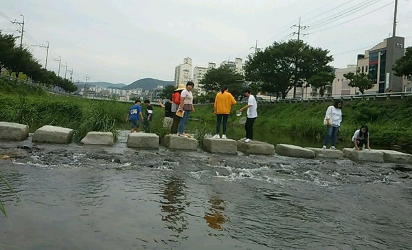 통영거제환견운동연합은 거제 고현천에 대한 답사를 벌였다.