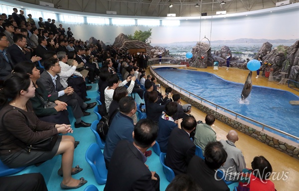  '10.4선언 발표 11주년 기념 민족통일대회' 참석을 위해 방북한 남측대표단이 지난 6일 평양 중앙동물원을 참관했다. 남측대표단이 물범쇼를 관람하고 있다.