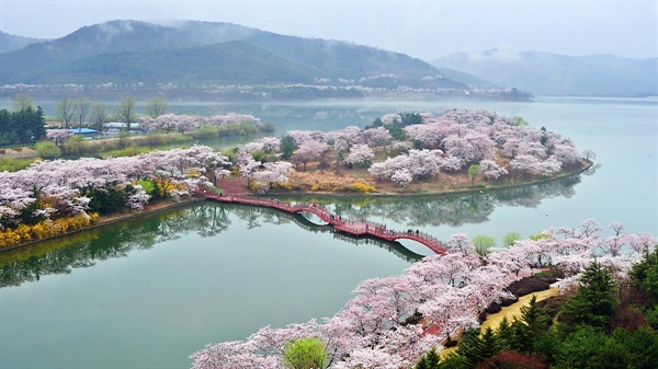 경주 보문호 풍경 아내가 꿈꾸던 경주