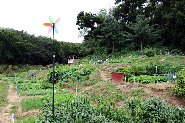 서울 은평구 연서로에 위치한 '향림도시농업체험원'