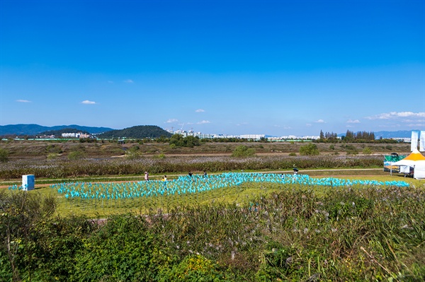 광주광역시 서구 극락강 주변, 서창들녘 억새, 바람개비로 만드는 한반도