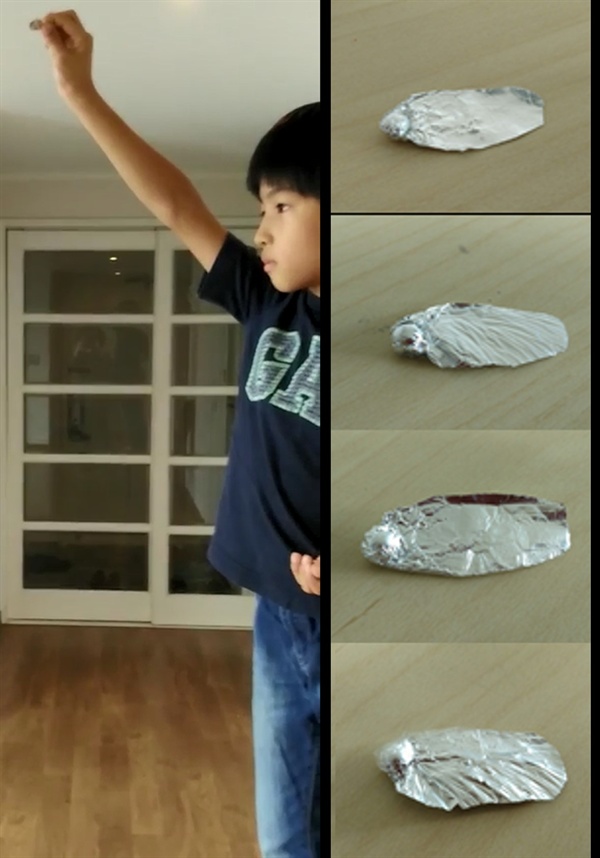 필자의 작은 아이가 초등학교 5학년 학교 영재학급 교육활동 중 산출물 보고서 발표를 위해 촬영한 실험 장면과 비교실험을 위해 만든 단풍나무 씨앗 모형들