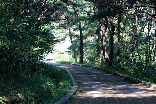 경주국립공원 송화산 화랑지구 모습