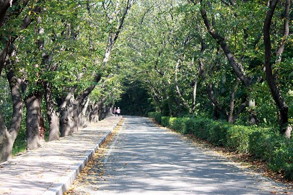  경주국립공원 송화산 화랑지구 주변 모습