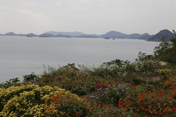 '쑥섬'의 별정원에서 바라본 주변 다도해 풍광. 크고 작은 섬들이 꽃밭의 배경 무대로 자리하고 있다.