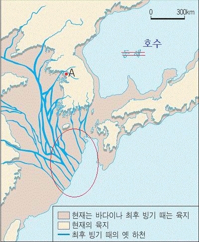  기원전 1만 4천 년 전 한반도와 중국, 일본은 이렇게 이어져 있었다. 그리고 동해는 바다가 아니고 커다란 ‘호수’였다. 위 지도에서 ‘후기 구석기인(또는 초기 신석기인)’이 가장 살기 좋은 곳은 강이 흘러 바다와 만나는 지점(빨간 동그라미)이다. 이곳은 ‘갯벌’이 발달해 먹을 것이 넘쳐났다. 하지만 이때는 홍수가 잦았던 홍적세 말기(그도 홍수가 가장 심했던 적도 지방), 거기다 마지막 빙하기가 끝나고 얼음이 녹는 간빙기였다. 유럽 고고학자들은 조그만 호수 흑해에 물에 찰 때 하루에 120미터씩 뭍이 잠겼다고 한다. 아마 이곳 갯벌 지역도 마찬가지였을 것이다. 구석기인들은 서둘러 남쪽 베트남, 동쪽 일본, 북쪽 제주도로 몸을 피했을 것이다. 거기서 한 무리는 다시 부산 동삼동 쪽으로, 다른 무리는 지금의 서해안을 따라 북쪽으로 올라갔을 것이다. 동해(그때는 호수) 서쪽에 살았던 구석기인(또는 초기 신석기인)들은 사정이 달랐다. 그들은 서쪽으로 조금만 이동하면 되었다. 같은 빗살무늬토기라 하더라도 제주도, 서남해안, 암사동, 동북 지역 토기의 무늬가 다른 것은 바로 이 같은 사정 때문이다. 이에 대해서는 연재글 말미에서 자세히 다루겠다.