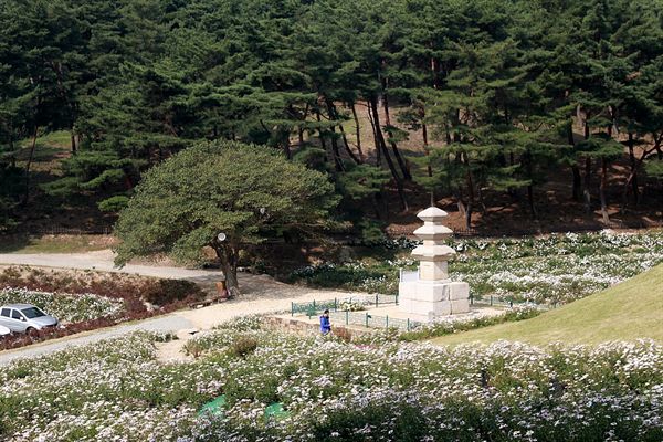  경주 선도산 기슭에 있는 서악동 삼층석탑 모습