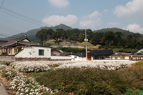 경주 서악동 삼층석탑으로 가는 입구에 있는 서악마을 모습