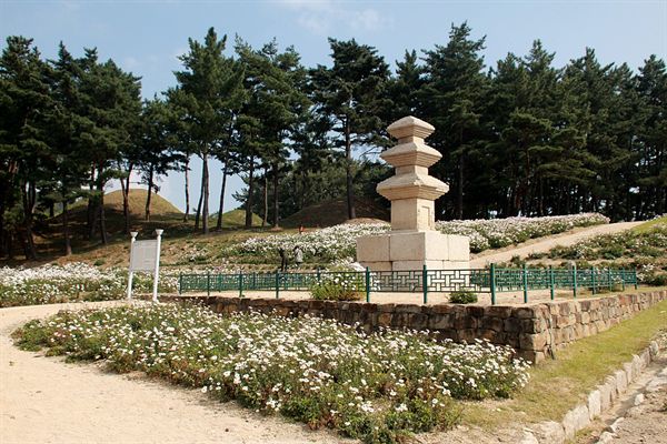  경주 선도산 기슭에 있는 서악동 삼층석탑과 구절초가 조화를 이루는 모습