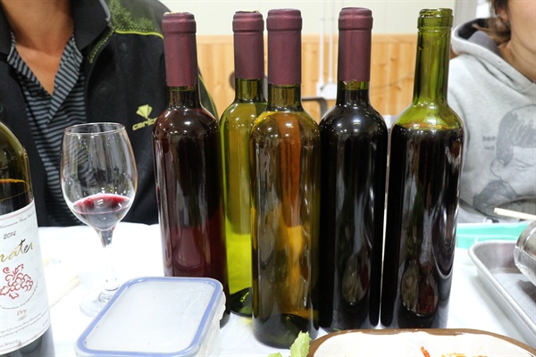 백승현 수도산 와이너리 대표가 만든 와인들. 레이블이 없는 것은 실험용이기 때문이다. 