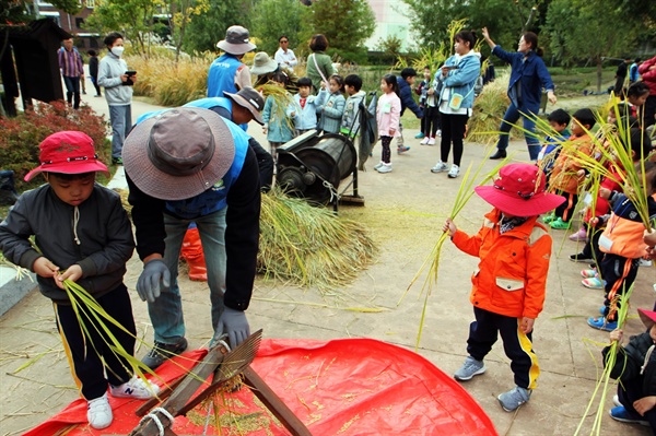 18일 '향림 논두렁 축제'에서 어린 농부들이 탈곡 체험을 하고 있다.