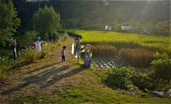향림도시농업체험원의 가을 논에서 노는 어린 농부와 허수아비.