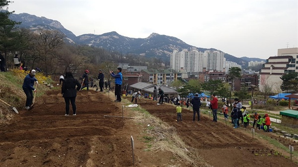 향림도시농업체험원의 봄.