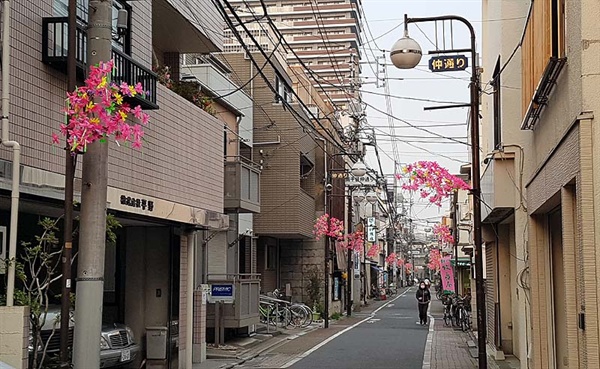 내 숙소가 위치한 도쿄 다이토구 이리야라는 동네. 봄이어서 그런지 동네 전봇대, 가로등에 화사한 조화를 꽂아놓았다.