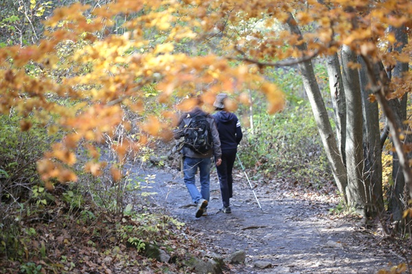 친구와 가을 숲을 걸어가는 걸음이 아름답다