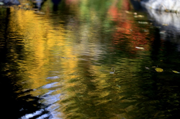 수채화 물감인듯 물빛도 가을빛에 물들었다.