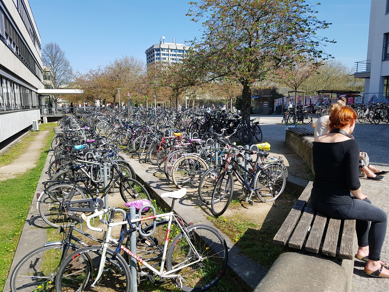 괴팅겐대학교 학생들은 학교와 주거지를 오갈 때 주로 자전거를 활용한다.