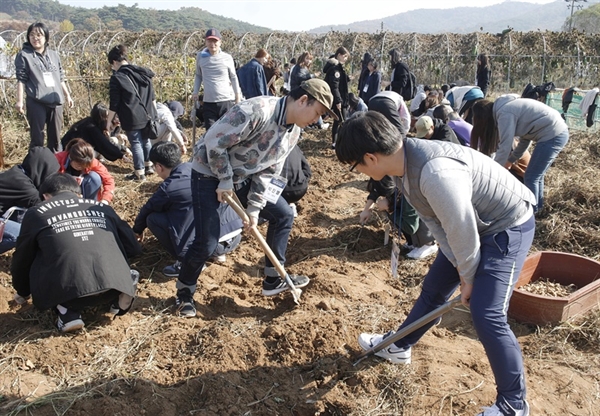 충남인재육성재단이 운영하는 대전학사 학사생과 직원들이 일손돕기 봉사활동을 벌이고 있다.
