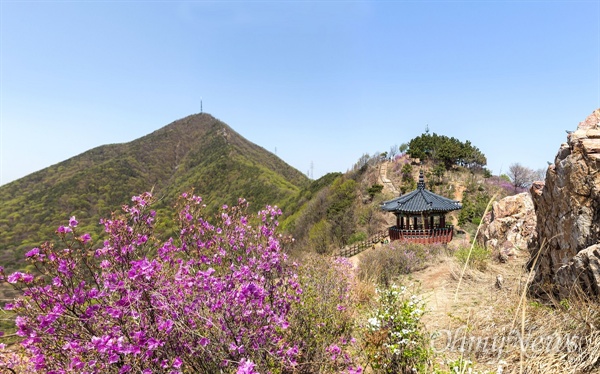 인천시 계양산.