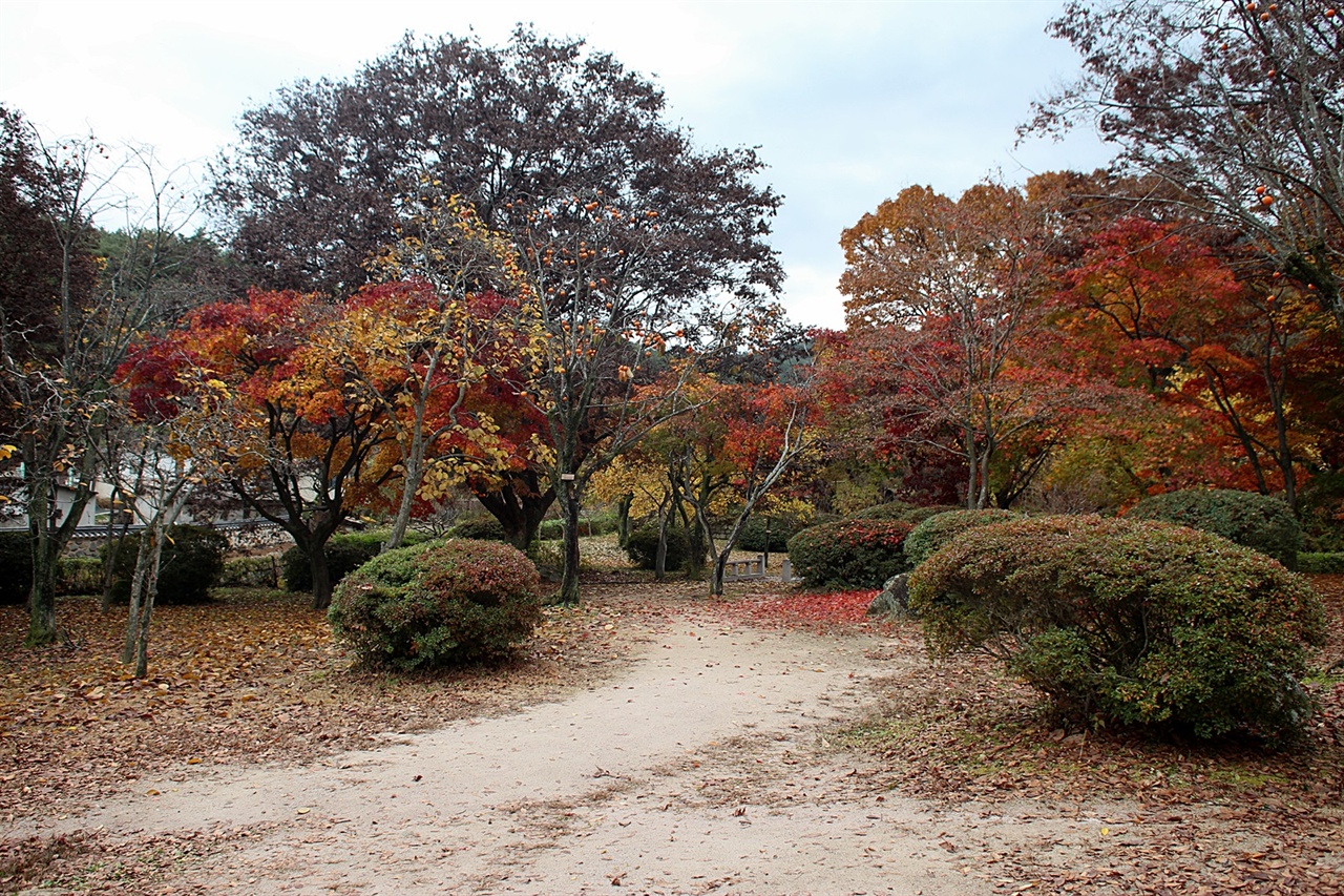 낙엽이 떨어지고 막바지 가을 단풍이지만 그래도 아름다운 포석정지