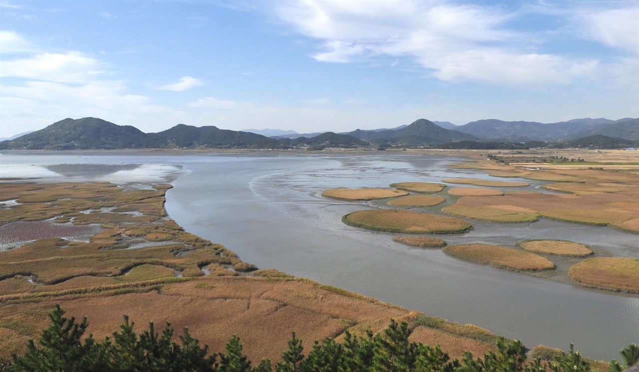 용산전망대에 올라 망원렌즈로 갈대밭을 내려다보다. 가을하늘과 물길, 
그리고 손에 잡힐 듯 다가오는 갈대밭의 아름다운 풍경에 마음은 기쁨으로 
한가득이다.
