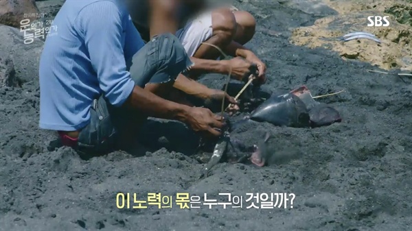  SBS 창사 특집 대기획 < SBS 스페셜-운인가 능력인가 공정성 전쟁> 2부 캡처.