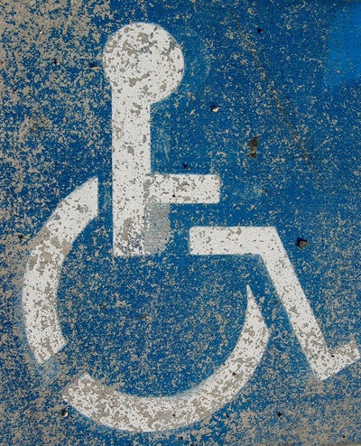 박근혜정부에서는 장애인등급제를 2등급으로 축소하면서 장애정도를 판정하는 기준도 2등급으로 축소하려고 했다. 이러한 문제점을 이번에도 재연될 가능성이 크다.
