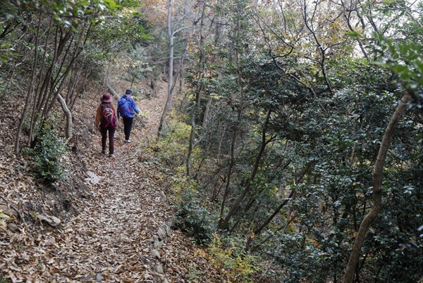  달마고도의 숲길. 달마산의 산허리를 따라 너덜과 숲길을 지난다. 눈도, 마음도 행복한 길이다.