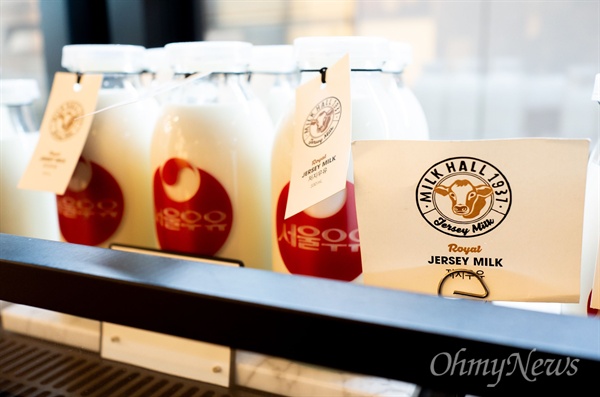 근래에 서울우유에서 한정 판매하는 저지 우유의 착유량 16kg보다 조금 더 많은 정도다. '저지(Jersey)'는 한우와 모양새가 비슷한 누런색을 띠는 영국 출신 젖소다. 착유량은 적지만 진한 맛이 장점이다.