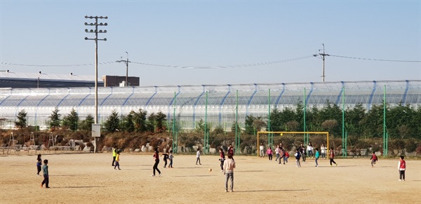 공 2개, 골대 4개로 이색적인 축구를 하고 있다.