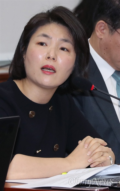전희경 자유한국당 의원이 6일 오전 서울 여의도 국회에서 열린 교육위원회 법안심사소위원회 회의에서 '유치원 3법' 관련 의견을 밝히고 있다. 