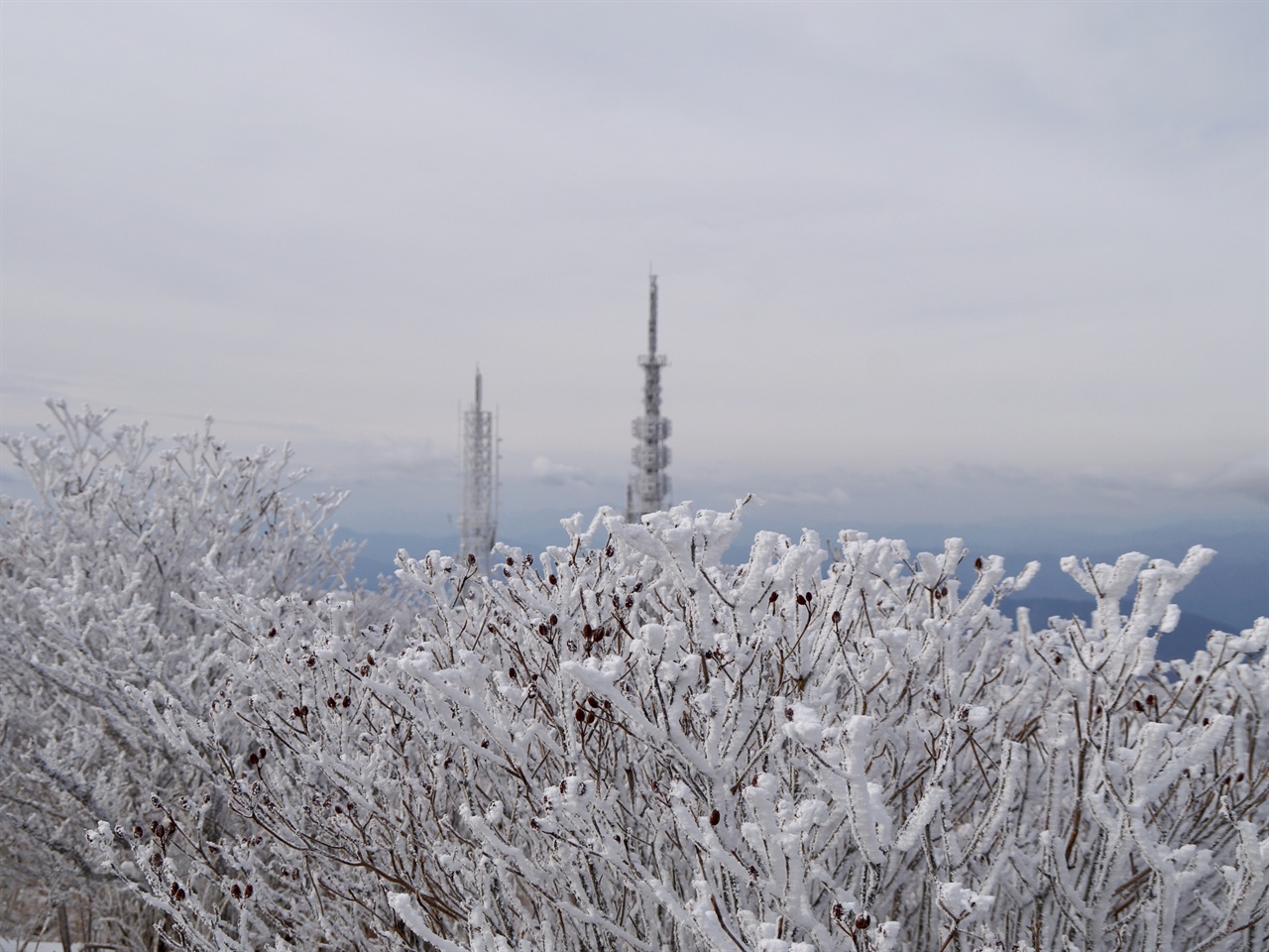 지리산 노고단 설경