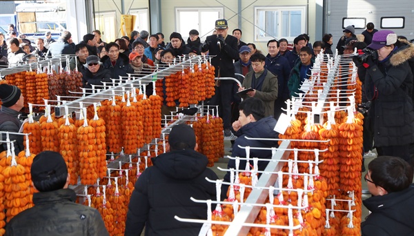 10일 경남 함양군 서하면 곶감 경매장의 초매식.