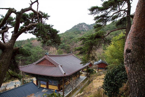 명량법사의 후계자인 안혜, 낭융 등의 스님들과 김유신 장군이 세운 호국사찰이다